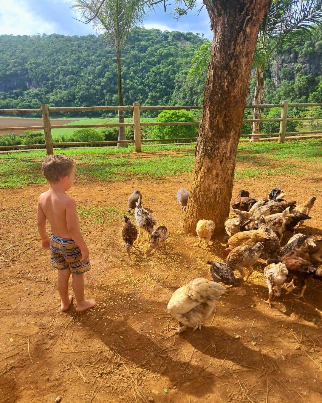 Passeios perto de BH com crianças: 3 ideias de bate e volta (até 1h30 de Belo Horizonte)