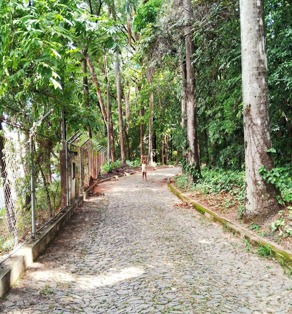 Imagem 6