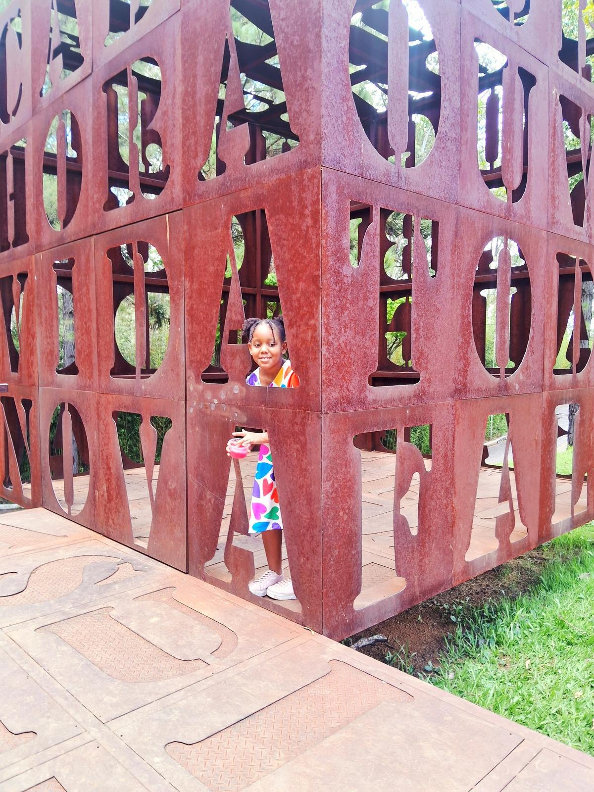 Imagem 8