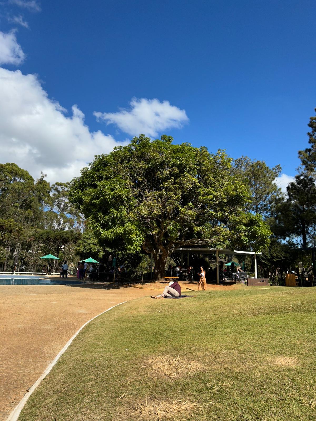 Parque do Palácio