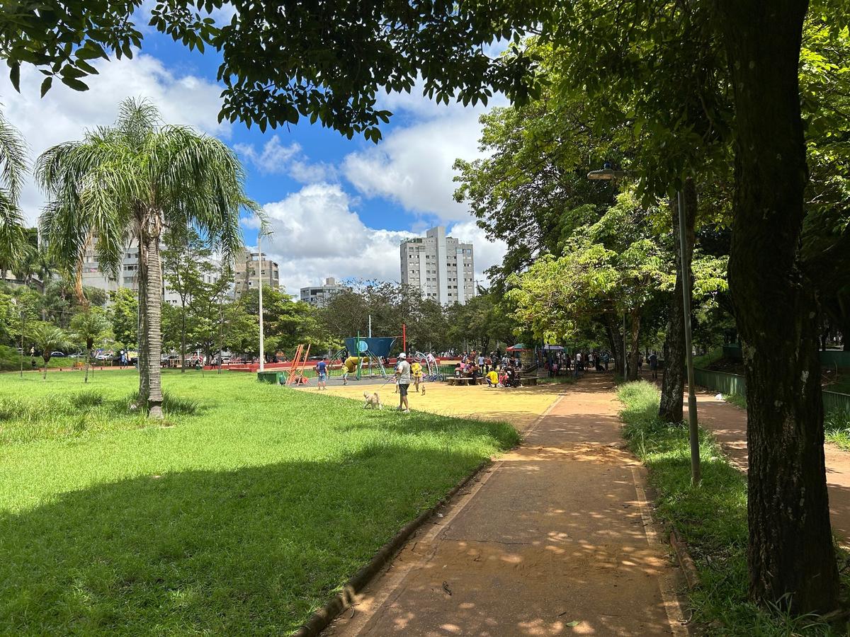 Imagem 6