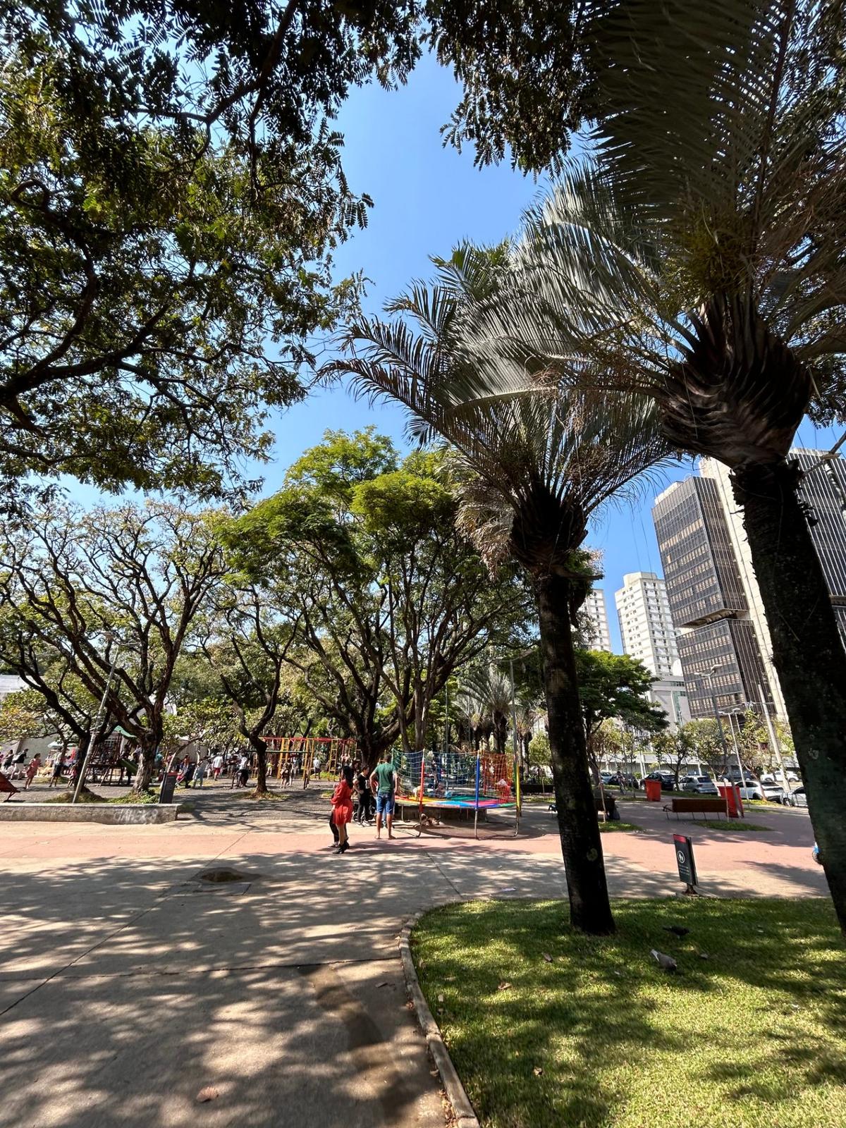 Imagem 7