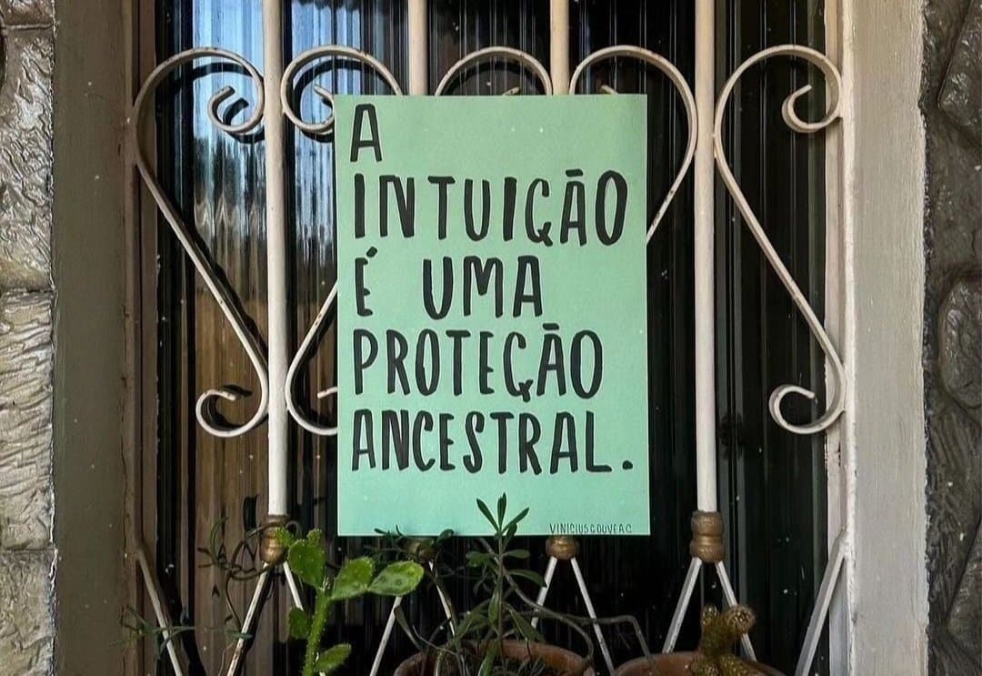 Imagem 10
