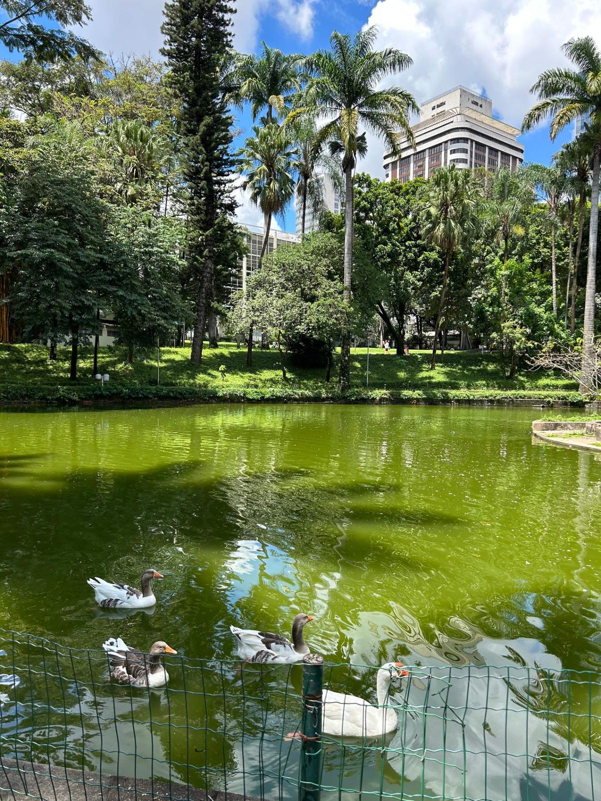 Parque Municipal Américo Renné Giannetti