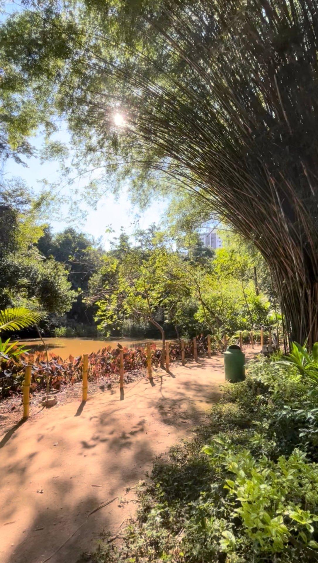 Parque Municipal Ursulina de Andrade Mello