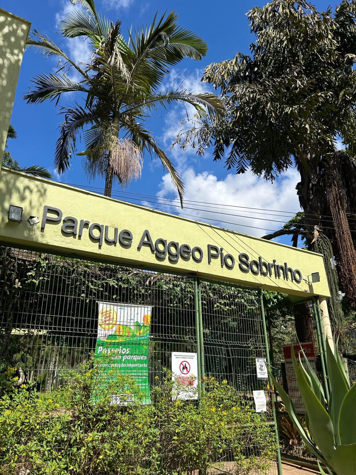 Imagem 6
