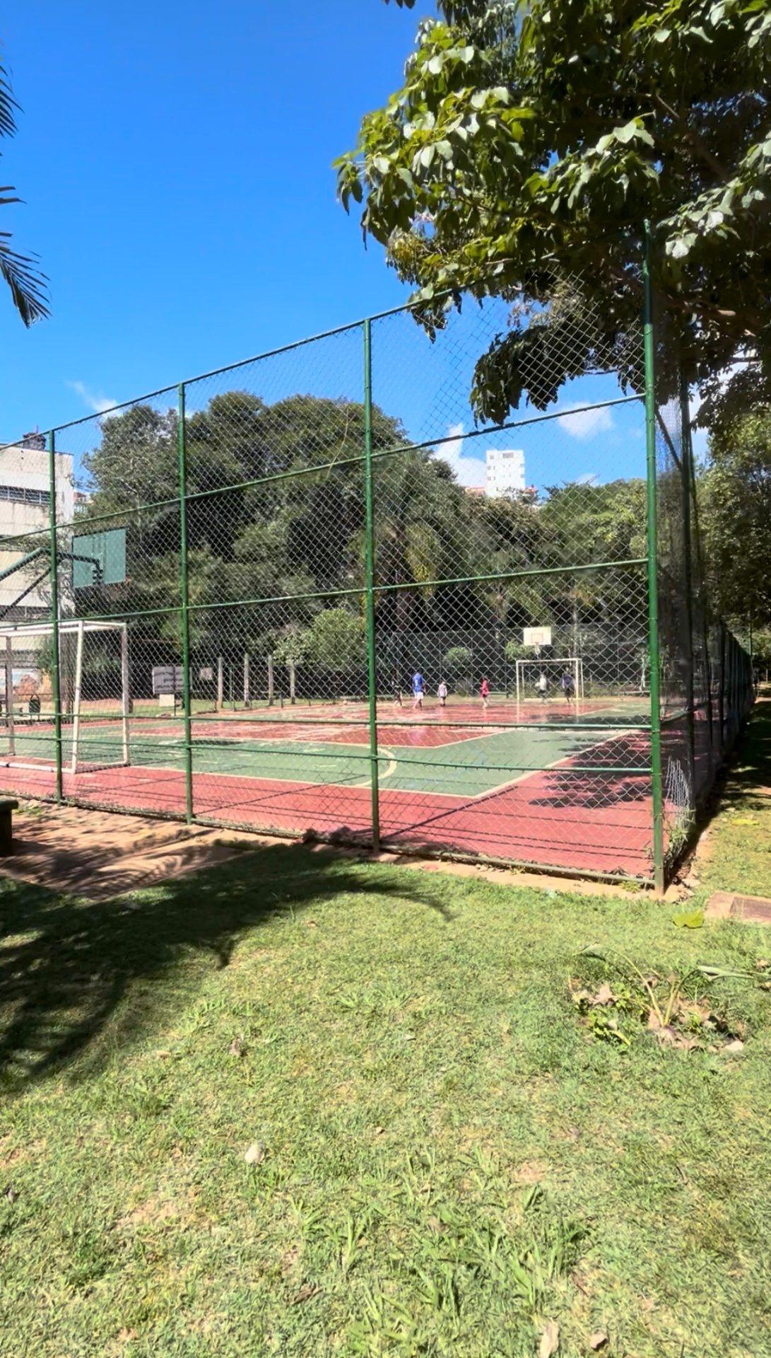 Imagem 9