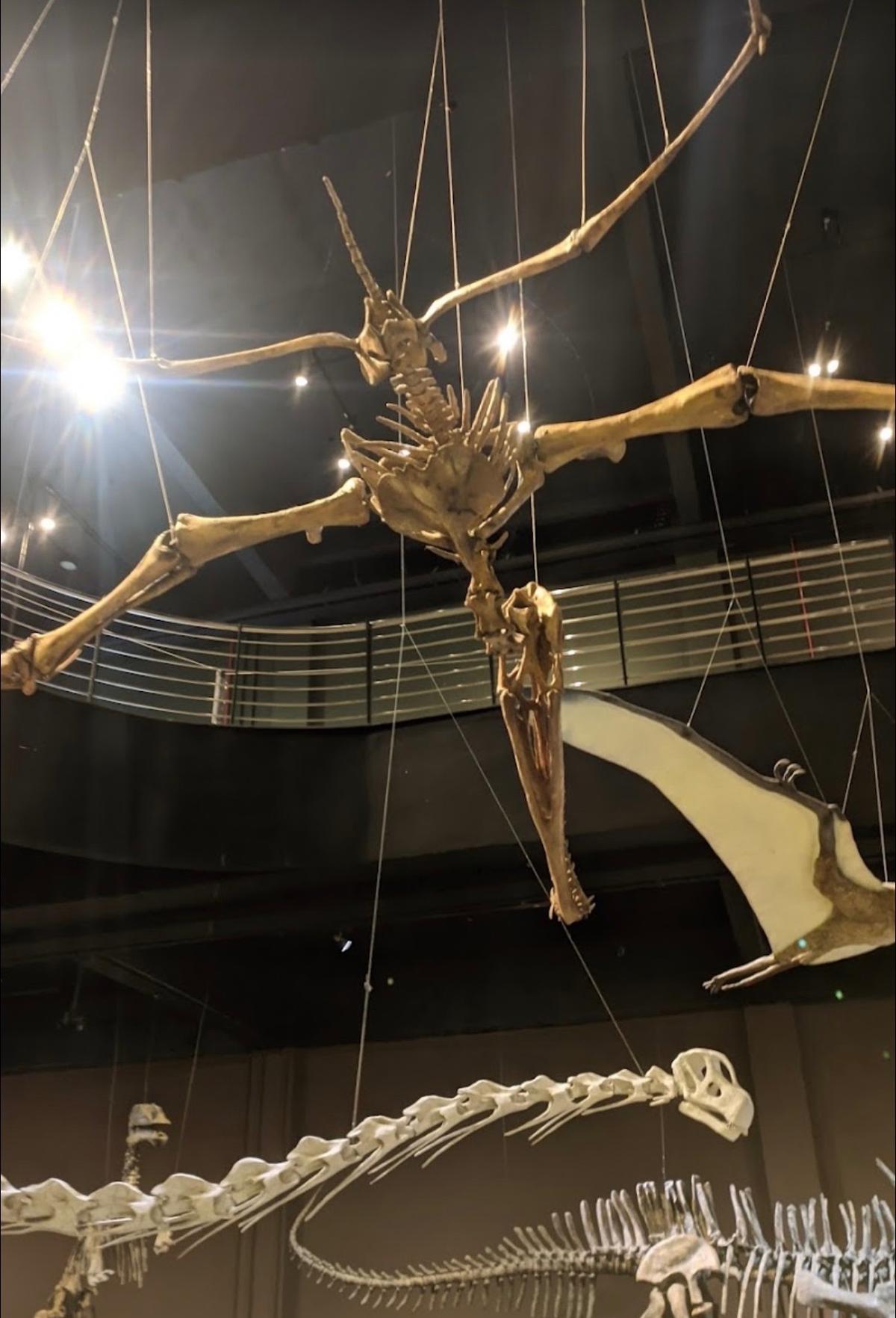 Museu de Ciências Naturais PUC Minas