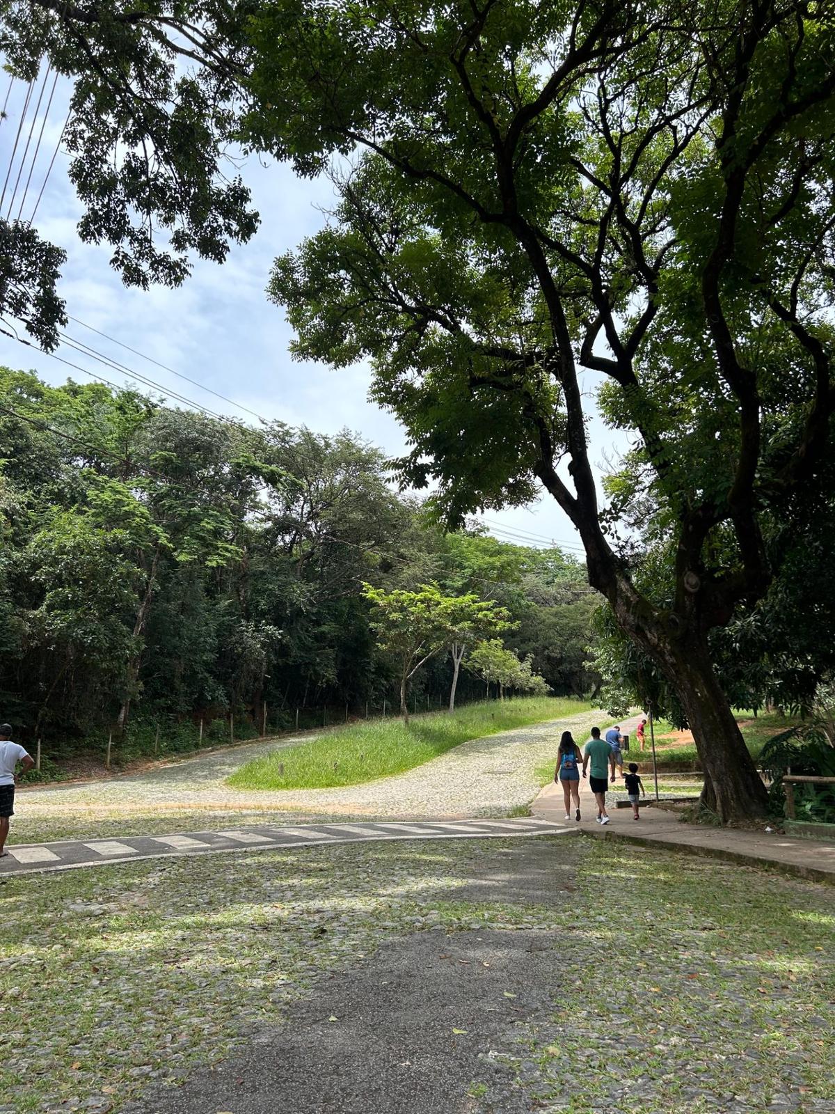 Imagem 2