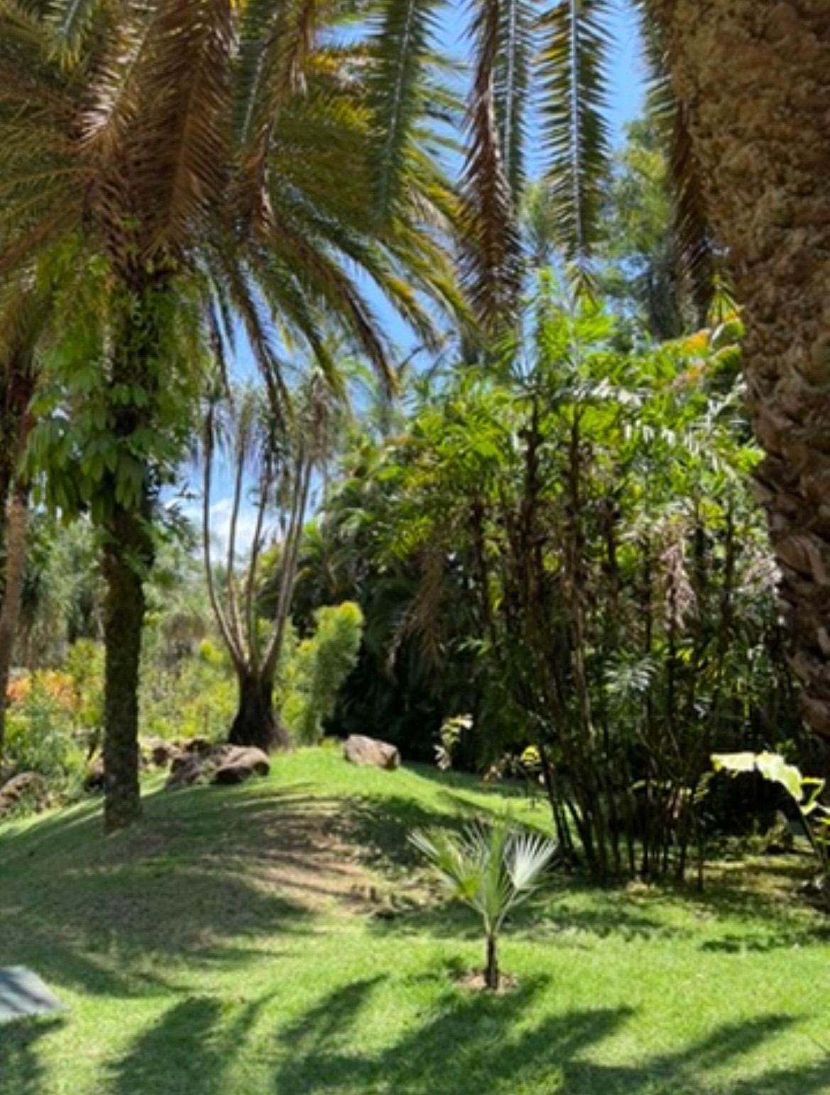Imagem 7