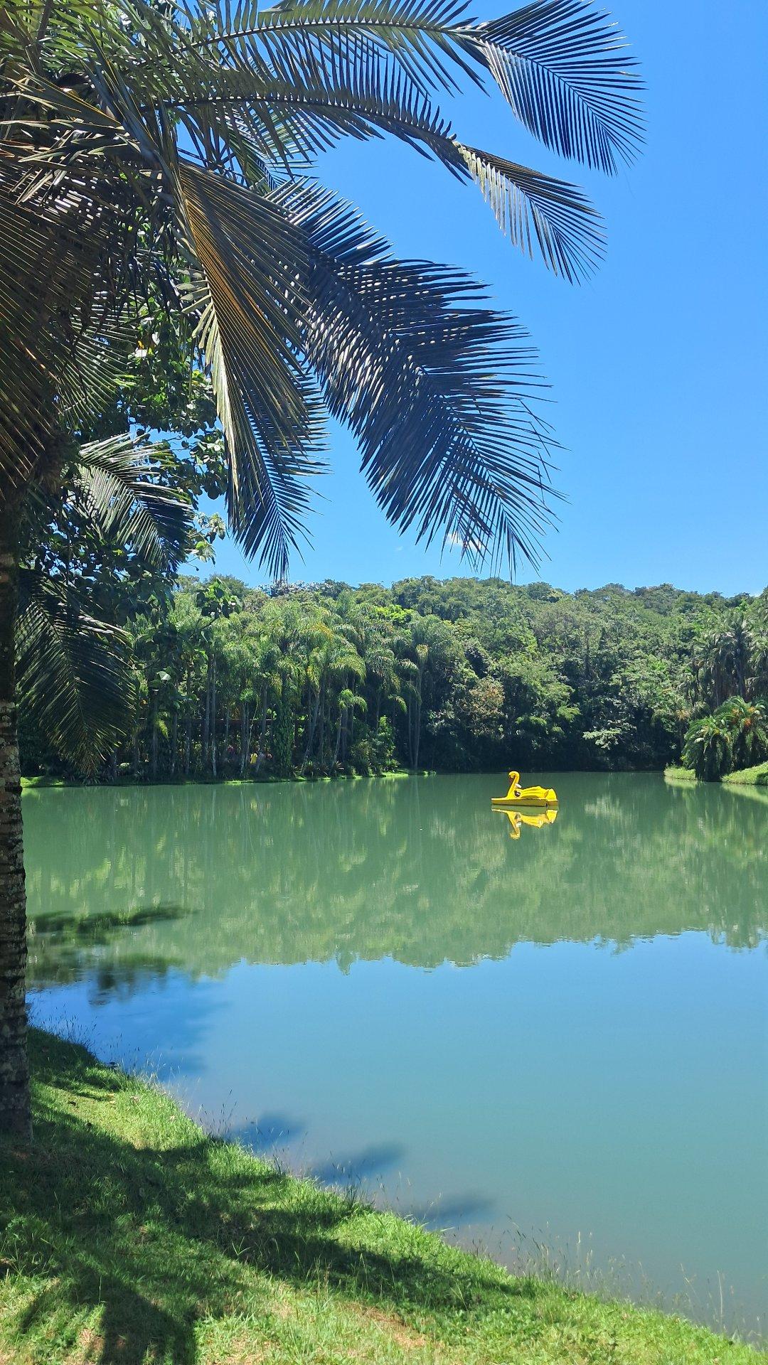 Imagem 2