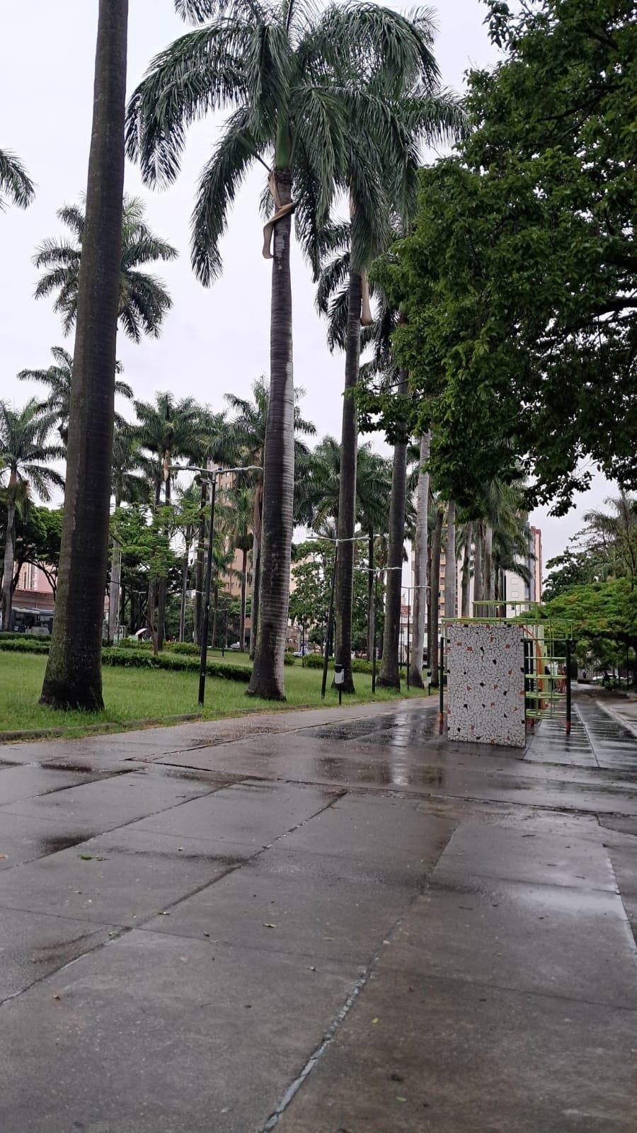Imagem 2