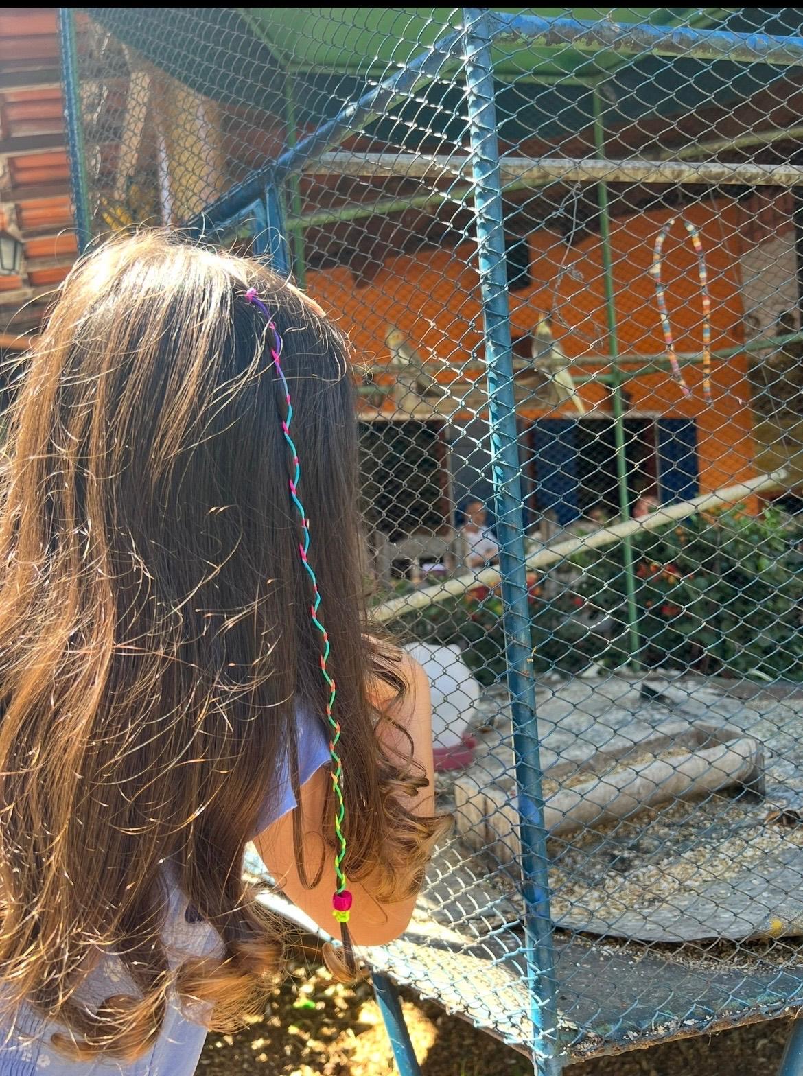 Imagem 2