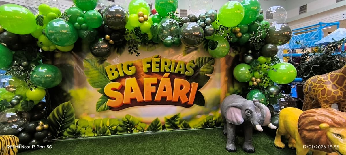 Imagem 2